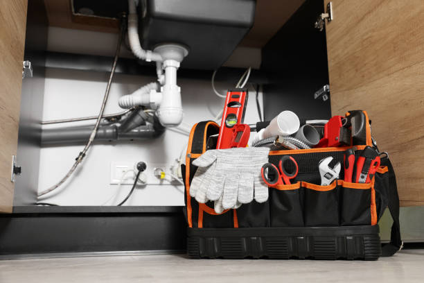 Best Clogged Drain Plumber  in Herald, CA