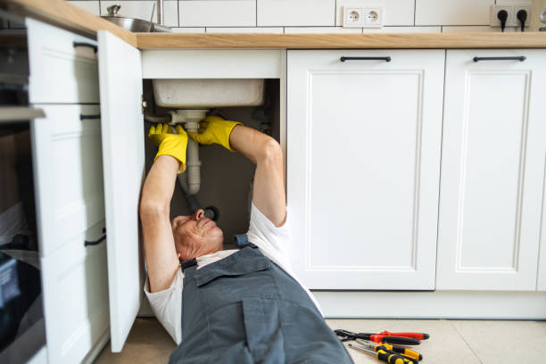 Best Affordable Plumbing Services  in Herald, CA